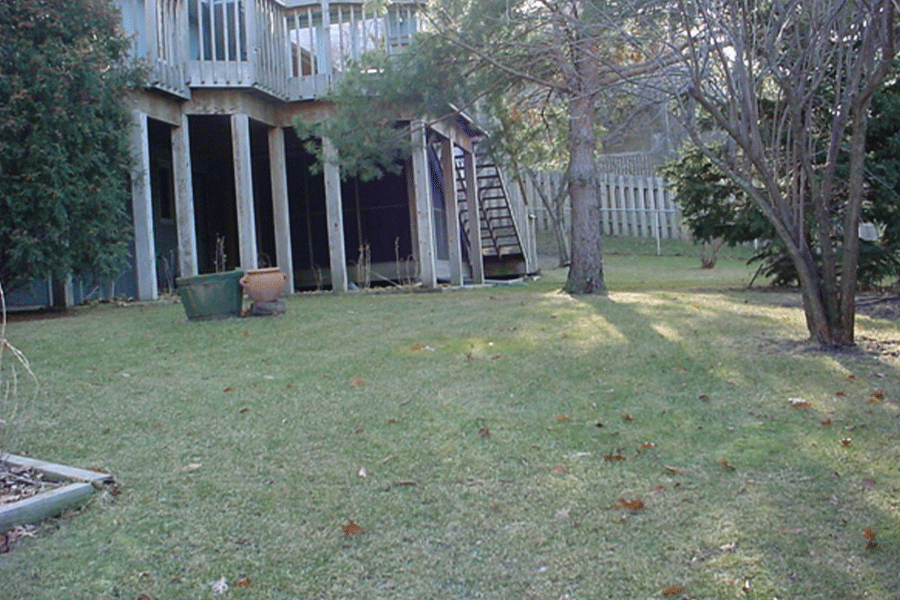 Backyard Before Firepit
