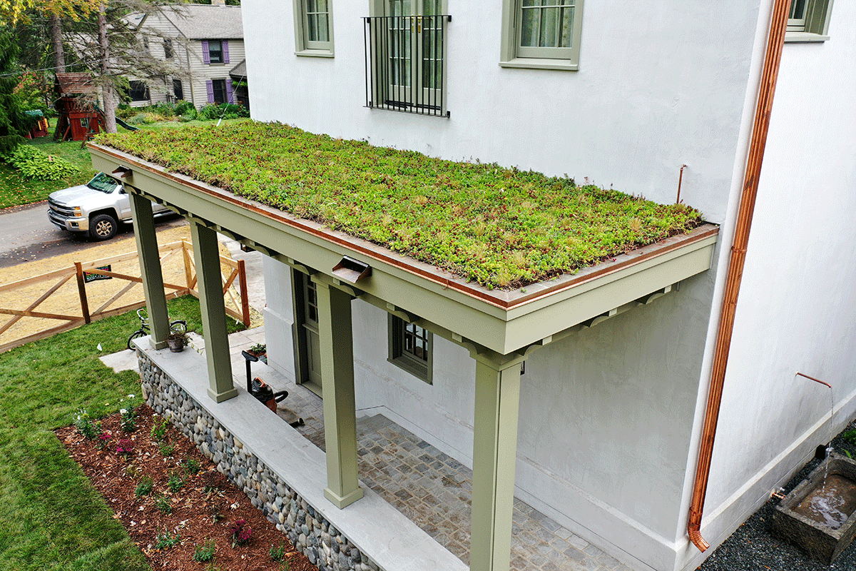 Grass-and-Succlant-Green-Roof-Top-Mixture-above-entry-way-Minnesota