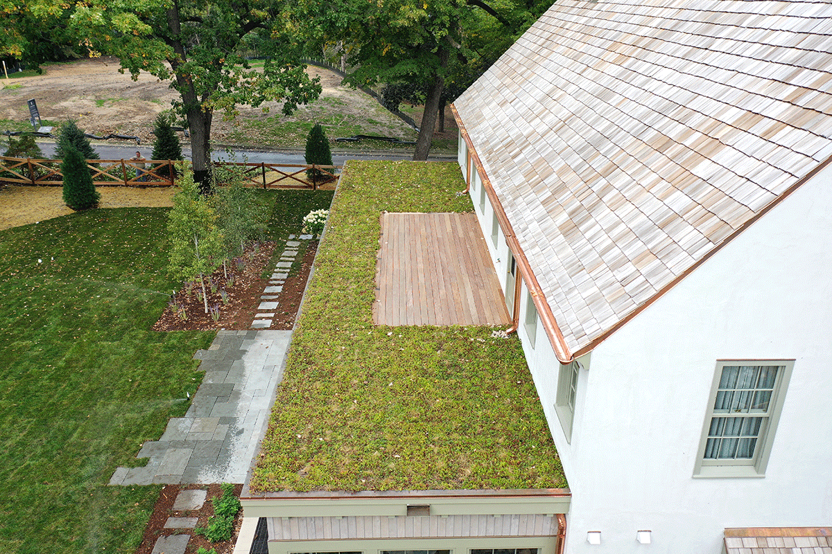 We Installed a Green Roof and Find Out How We Did It!