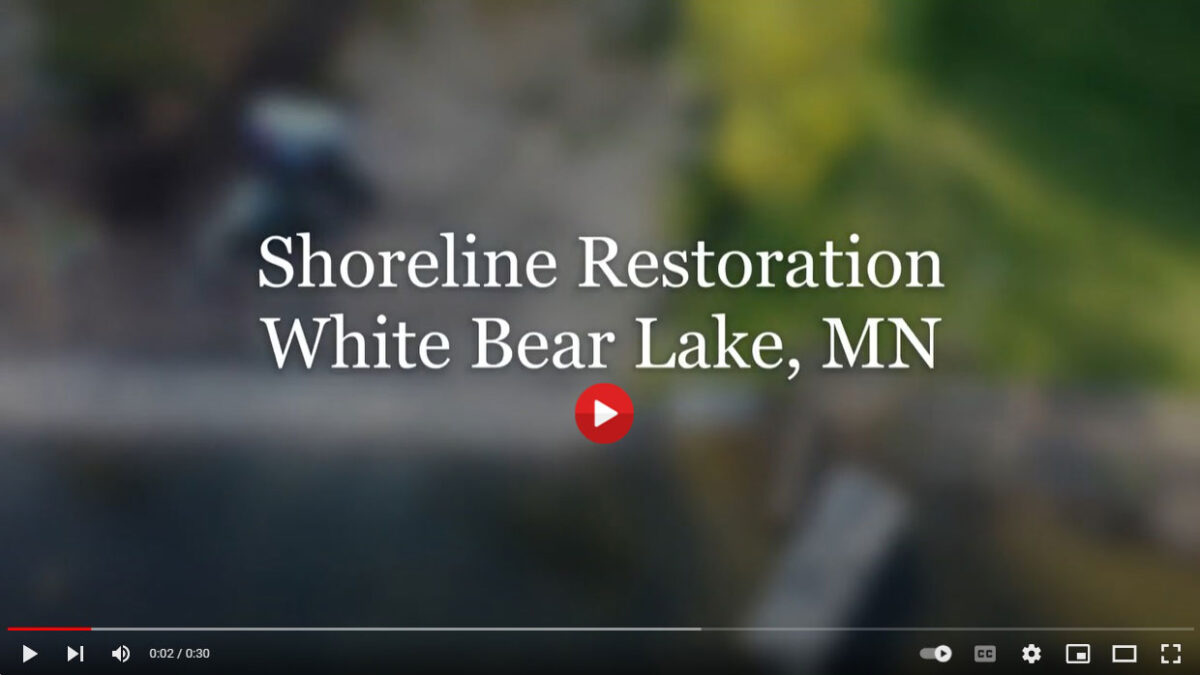 White Bear Lake MN Bald Eagle Lake Shoreline Restoration Video